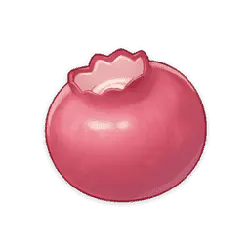 Pomegranate - fruit - circular - PNG