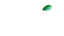 Green Leaf - PNG - leaf
