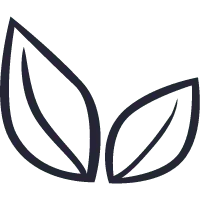 Leaf Pattern - nature - line - Transparent Layer PNG