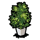 Potted Plant - plant - leaves - High Resolution PNG