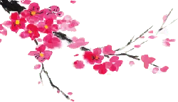 Peach Blossom Branch - Transparent Background PNG