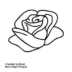 Rose - beautiful - romantic - Transparent Background PNG