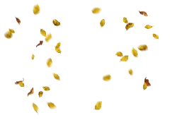 Leaves Falling - autumn - falling - Lossless PNG