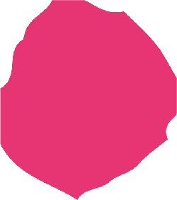 Pink Irregular Shape - geometry - Transparent Background PNG