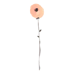 Abstract Rose - simple - PNG Images