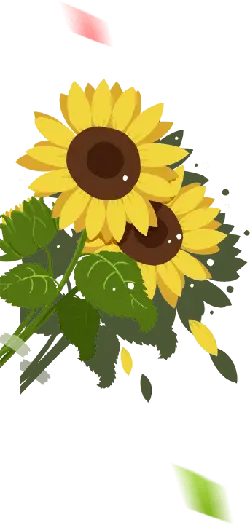 Sunflower - Transparent Layer PNG - nature