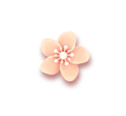 Plum Blossom - Highly Rated PNG - nature