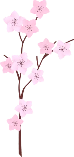 Cherry Blossom Branch - branch - High Resolution PNG