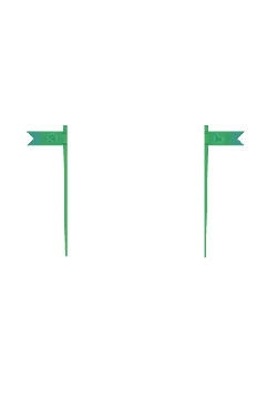 Green Flag - simple - Transparent Background PNG