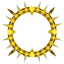 Sunflower Halo - halo - High Resolution PNG