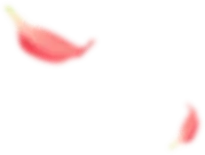 Watermelon Slice - sweet - slice - Free PNG