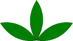 Clover - Highly Rated PNG - nature