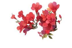 Red Flowers - plant - Free Download PNG