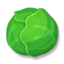 Cabbage - healthy - circle - No Background PNG