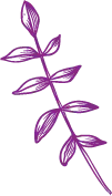 Purple Vine Leaf - purple - High Resolution PNG