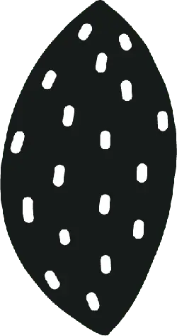 Almond - snack - High Download Count PNG
