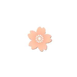 Cherry Blossom - PNG - High Resolution PNG