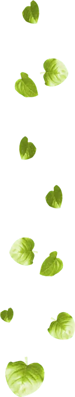 Leaves Falling - Highly Rated PNG - background