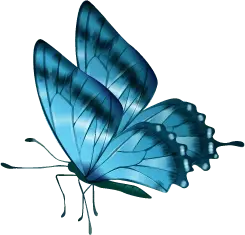 Blue Butterfly - flying - insect - PNG Images