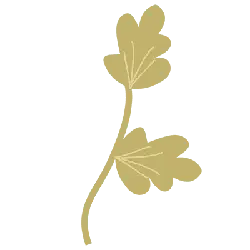 Two Leaves - minimalist - nature - Free PNG