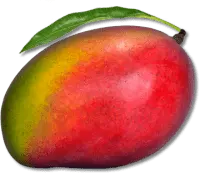 Mango - juicy - Curated PNG