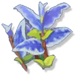 Blue Flower - plant - blue-purple - No Background PNG