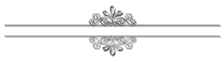 Decorative Pattern - symmetry - design - Transparent Layer PNG