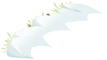 White Bat - night - Free PNG