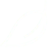 Leaf - environmental protection - Designer's Pick PNG