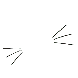 Cat Ears - Free Download PNG