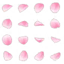 Petals - leaf - nature - High Resolution PNG