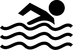 night - Black Owl - Popular Download PNG