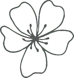 Clover - pattern - Transparent Layer PNG