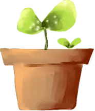 Potted Plant - leaves - growth - No Background PNG