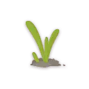Sprouting Grass - plant - Free PNG