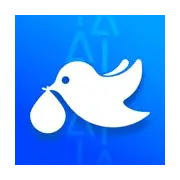 White Bird - design - Transparent Layer PNG