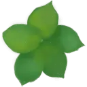 Green Flower - nature - Transparent Layer PNG