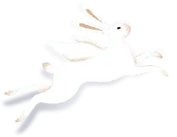 Flying Rabbit - jumping - Free PNG