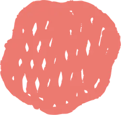 Watermelon - Designer Recommended PNG - fruit