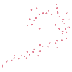 Pink Petals - flower - PNG