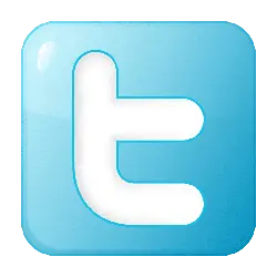 Twitter Logo - minimalistic - No Background PNG