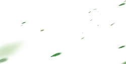 Green Light Spots - No Background PNG