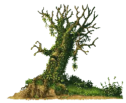 Ancient Tree Stump - tree - Free PNG