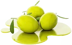 Olive - No Watermark PNG