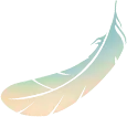 Feather - natural - No Background PNG