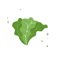 Lettuce - Free PNG