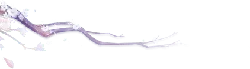 Cherry Blossom Branch - white - No Background PNG