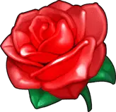 Red Rose - nature - flower - High Resolution PNG