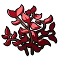 Red Plant - leaf - Transparent Background PNG