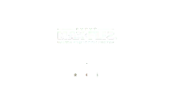 MAX FLIZ - logo - High Resolution PNG